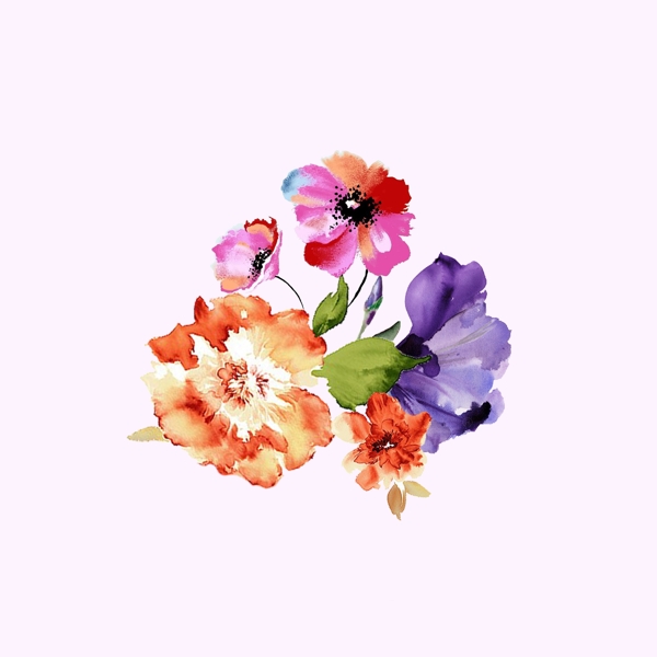 位圖psd植物花朵免費(fèi)素材