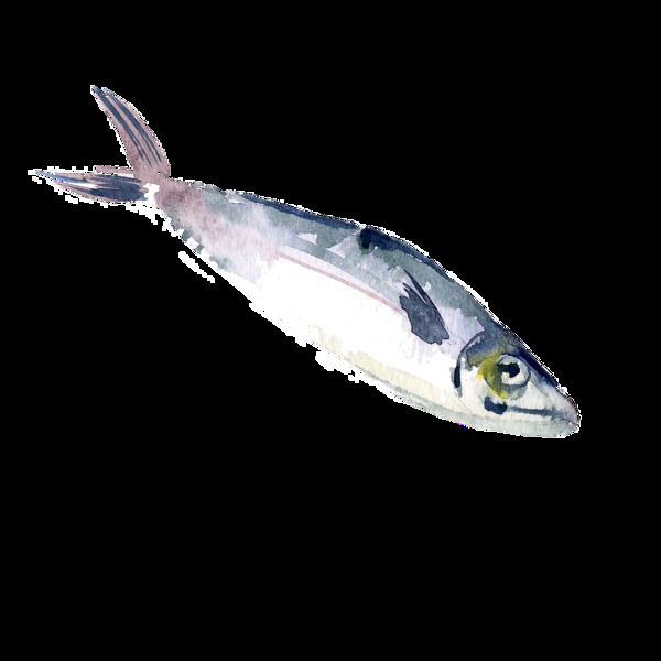 灰色水彩手繪魚透明素材