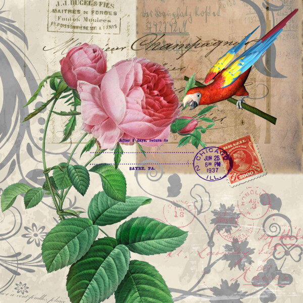 鸚鵡鮮花無框畫圖片