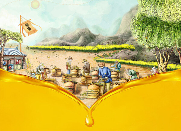 养蜂场地取蜂蜜情景