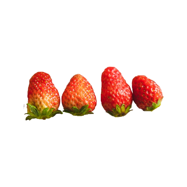 四个新鲜的草莓png