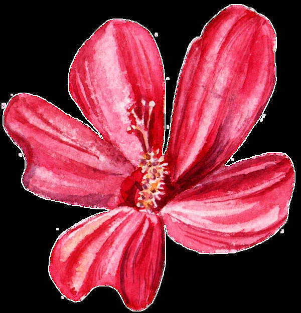 紅紋花瓣透明裝飾素材