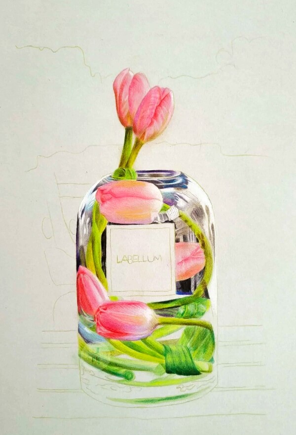 彩铅写实绘画郁金香玻璃花瓶