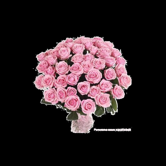 清新深粉色玫瑰花花朵花束实物元素