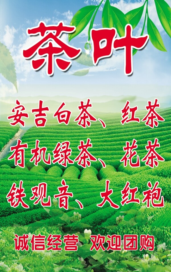 茶葉廣告牌圖片