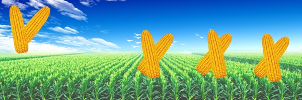 農(nóng)田
