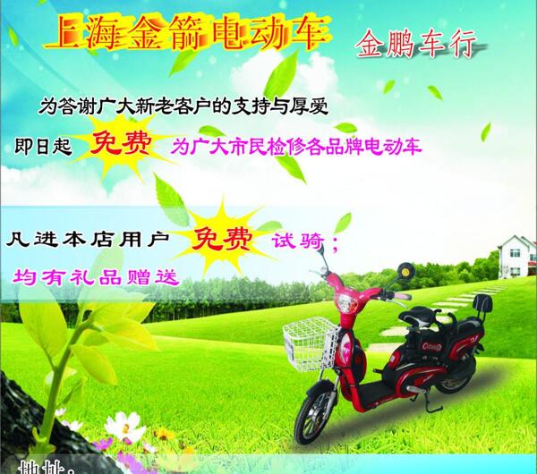 上海金箭电动车图片