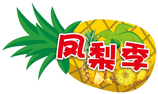 鳳梨掛牌