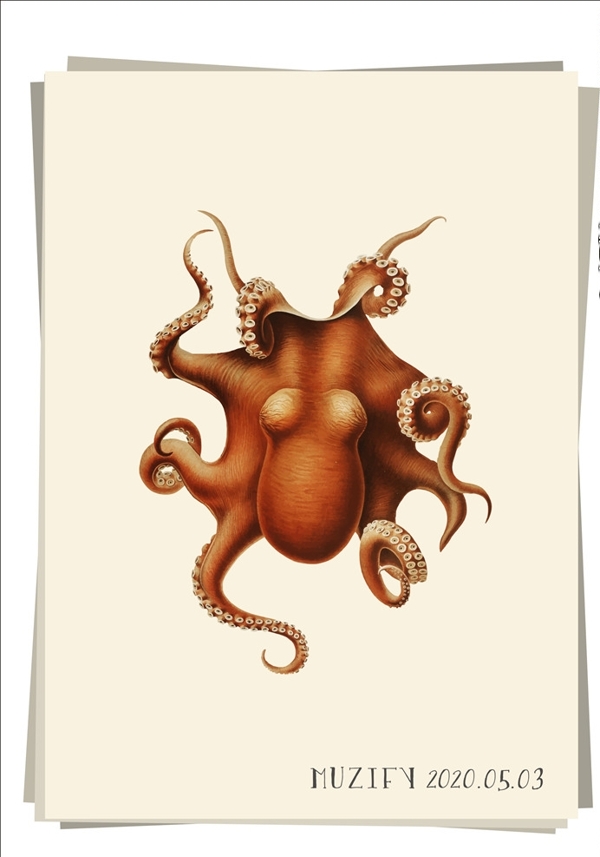 章鱼海洋生物图鉴