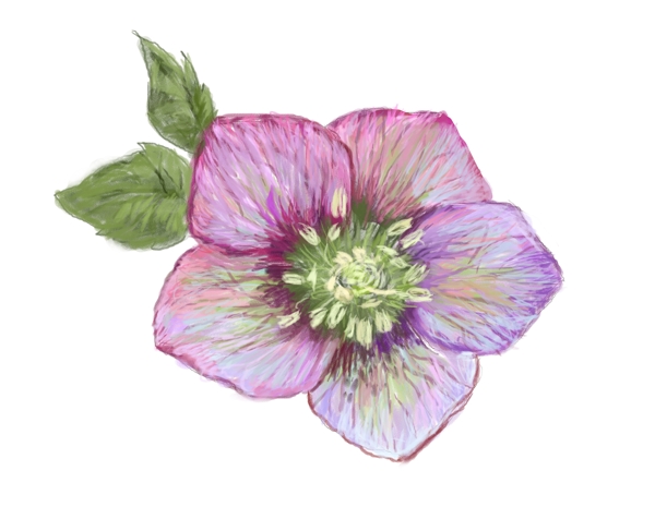 數(shù)碼印花圖案