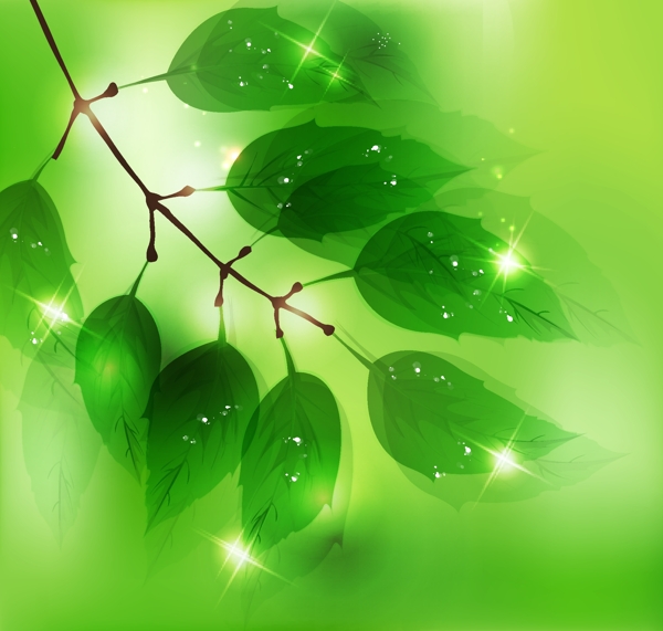 夢(mèng)幻光暈綠色背景矢量素材