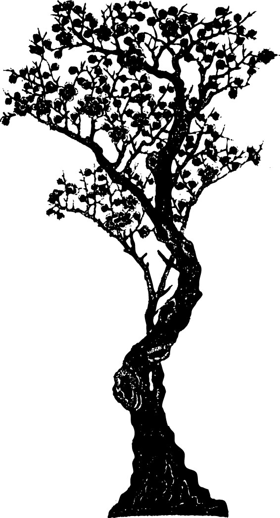 皮影剪紙