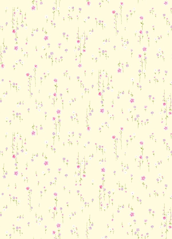 面料花紋圖片
