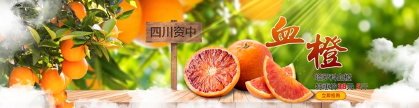 血橙橙子水果海報(bào)