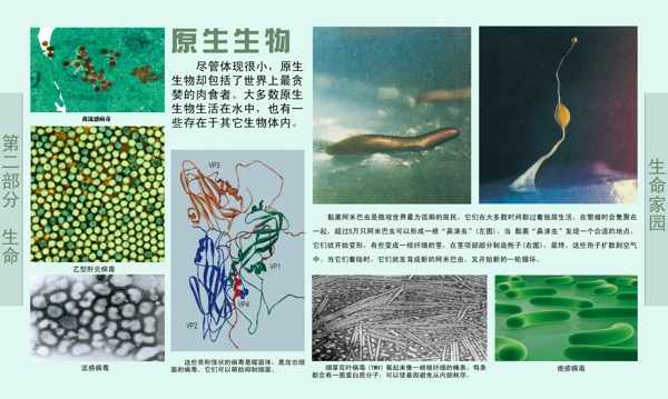 學(xué)校展板圖片