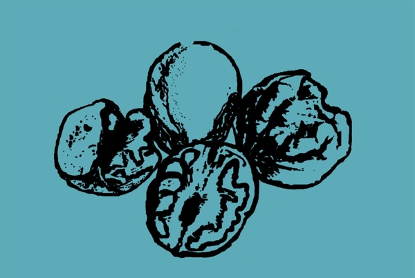核桃簡(jiǎn)筆畫(huà)圖片
