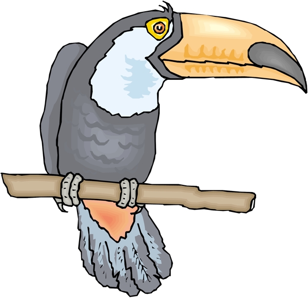 各種鳥(niǎo)類(lèi)鳥(niǎo)動(dòng)物矢量素材EPS格式1528