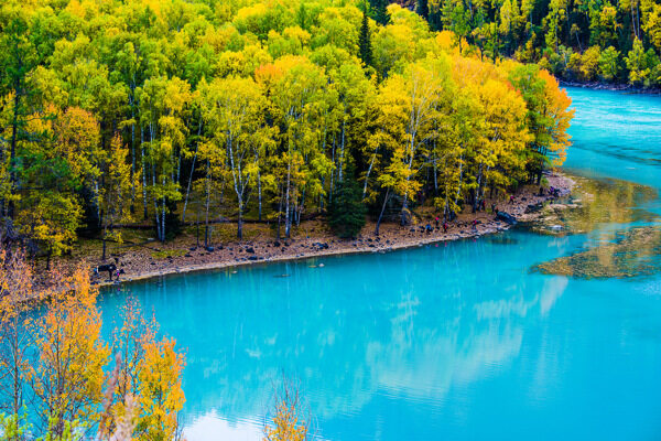 新疆喀纳斯湖金秋风景