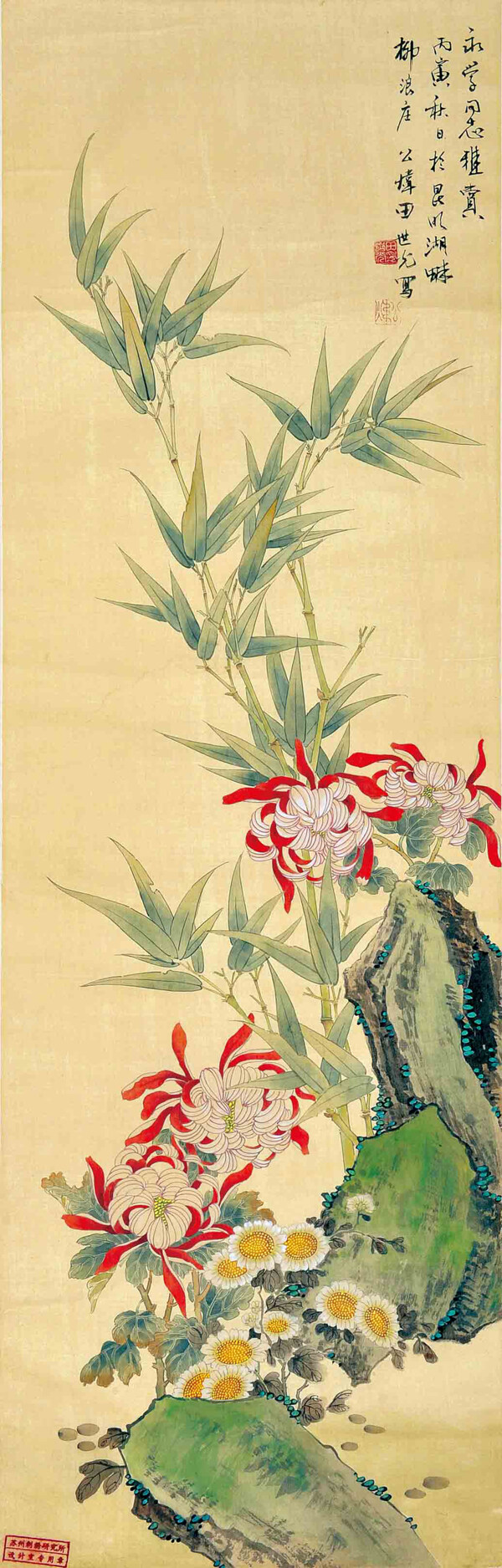 花卉圖片