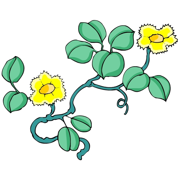 花卉古典插畫
