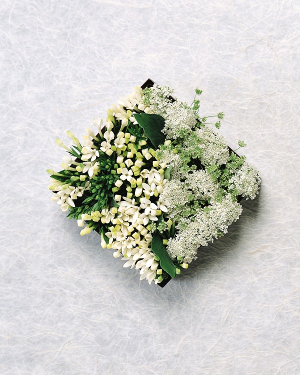 花藝圖片