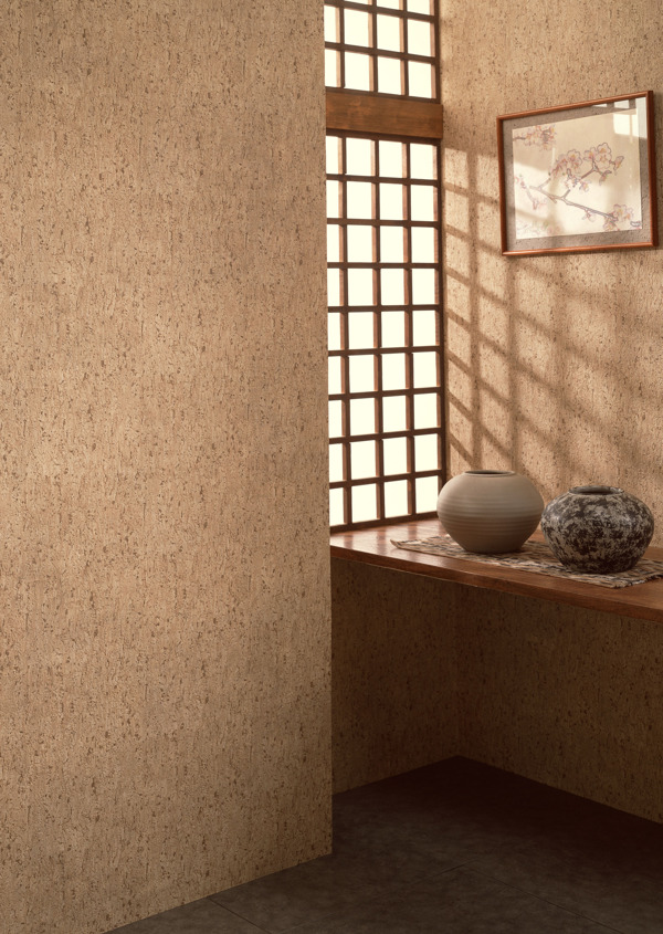 室內(nèi)圖片