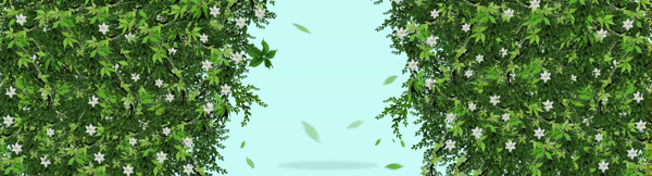 清新綠色植物banner背景素材
