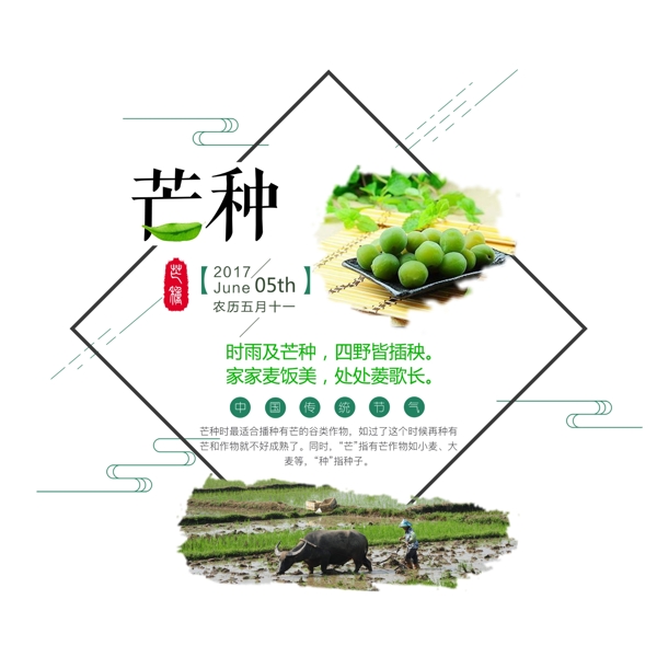 芒種海報(bào)