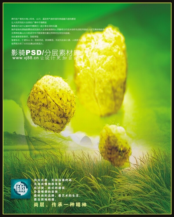psd源文件樹(shù)枝海螺野草草地小草