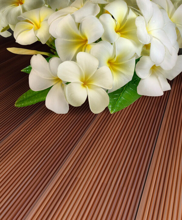 蝴蝶在花上