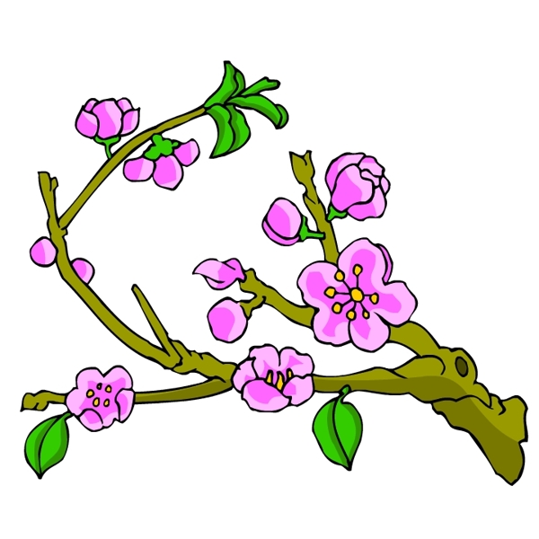 花卉古典插畫