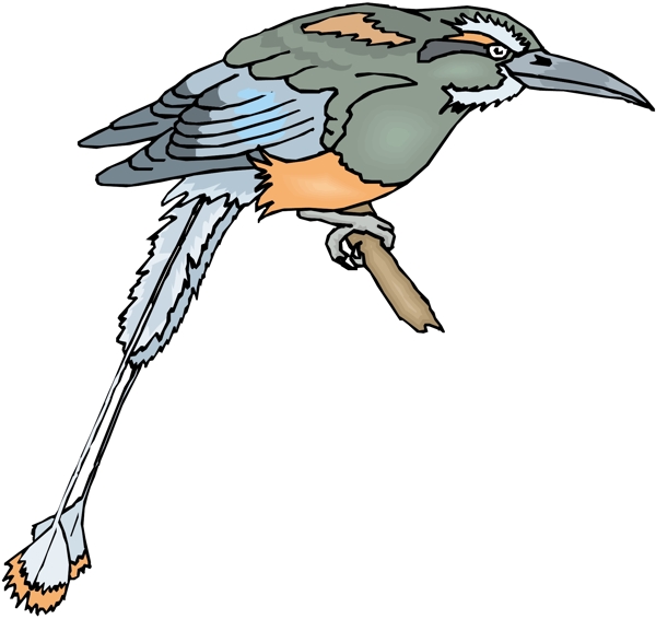 各種鳥(niǎo)類(lèi)鳥(niǎo)動(dòng)物矢量素材EPS格式1540