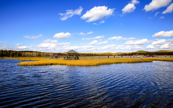 七星湖湿地唯美清新的自然风景