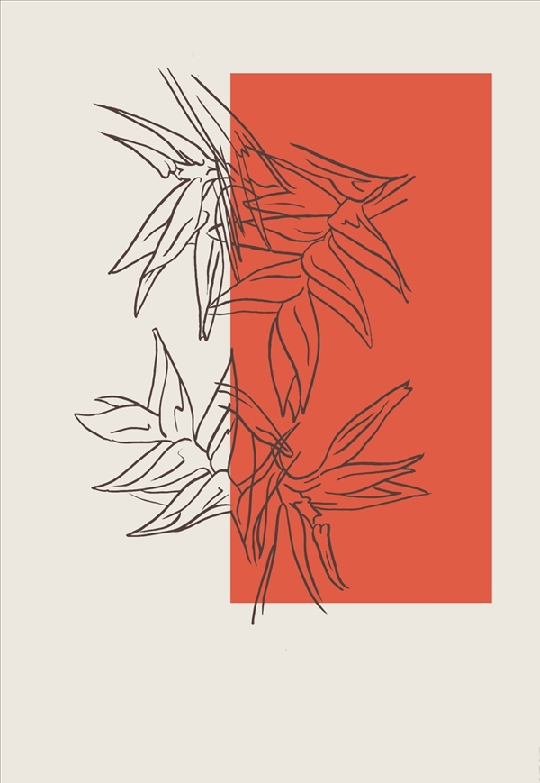 線描植物花卉矢量圖下載