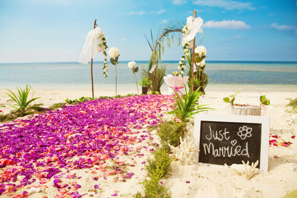 沙滩婚礼现场图片