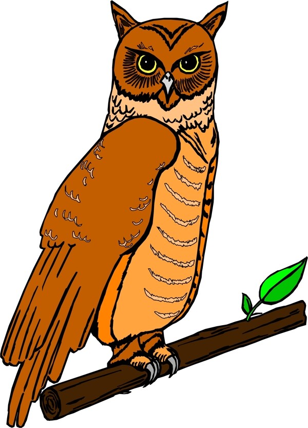 矢量逼真鳥類動物58