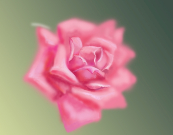 玫瑰爱情女人唯美朦胧花卉图片