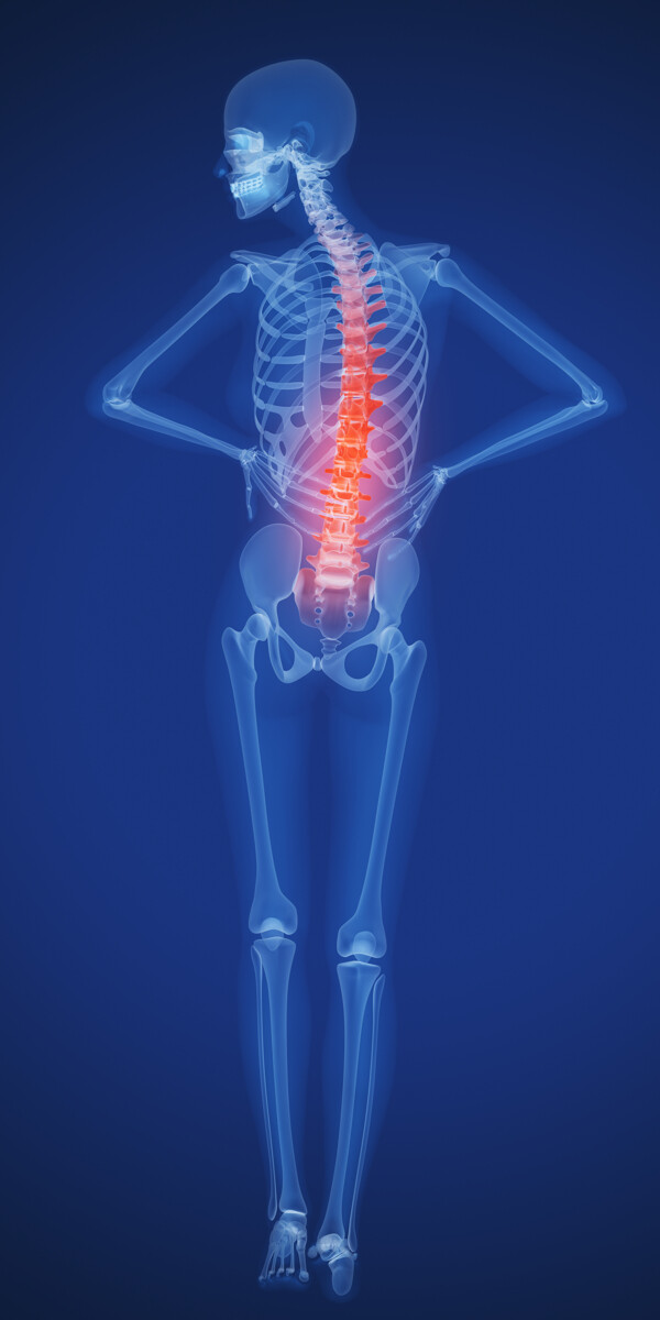 人体腰椎X光图像图片