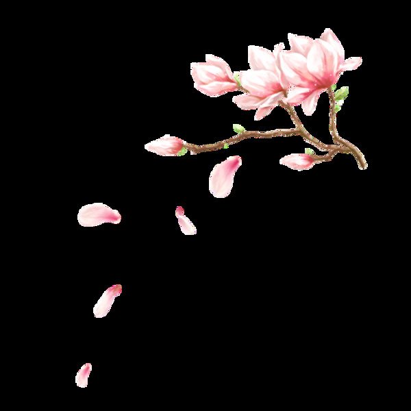 粉色花枝花瓣元素