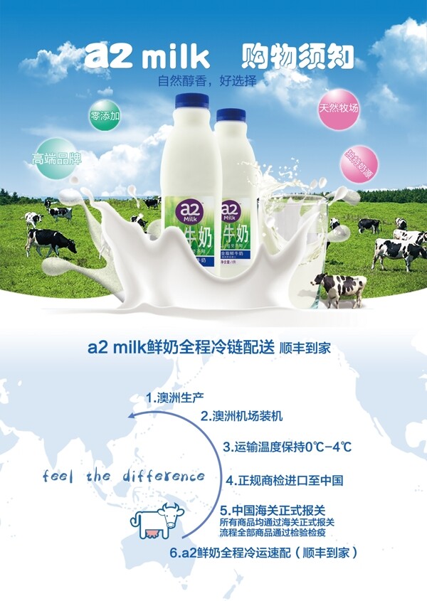 澳洲牛奶进口牛奶宣传单