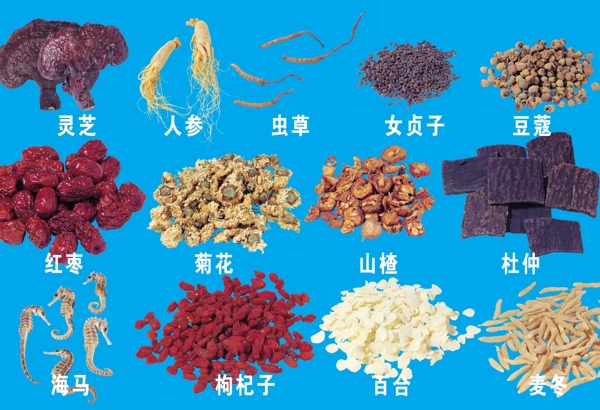 中藥圖片