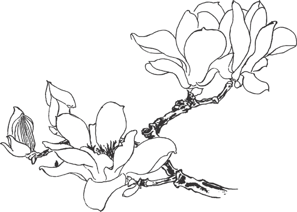 花卉
