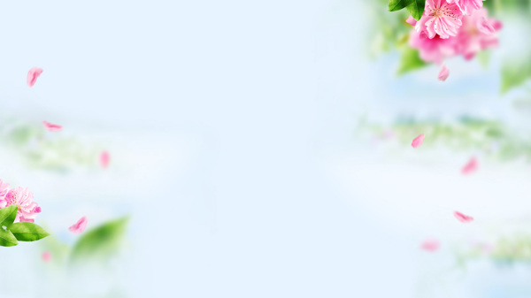 唯美粉色花朵banner背景素材
