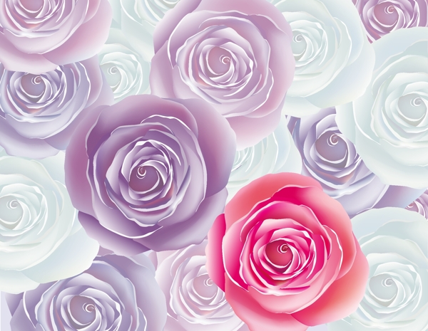 时尚花纹花朵玫瑰背景图片