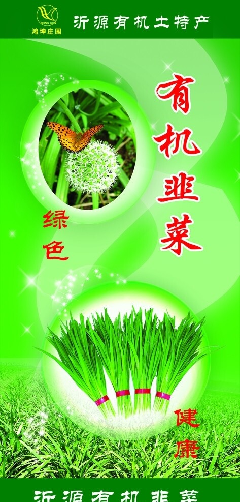 韭菜圖片