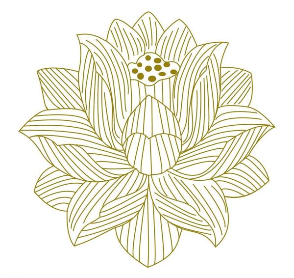 線框荷花圖片