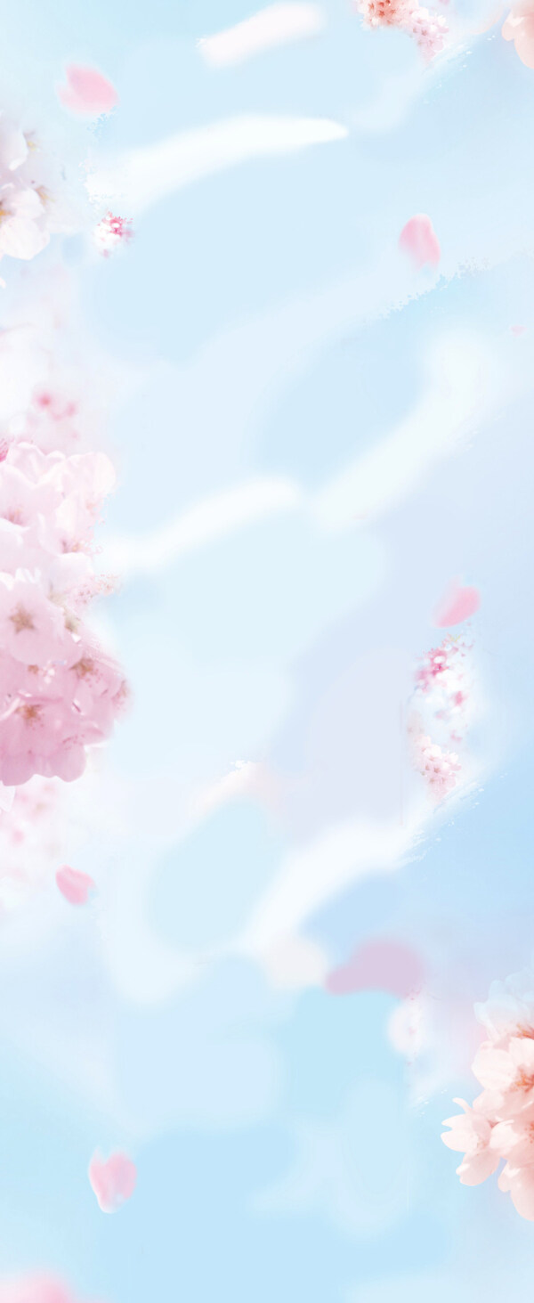 大海報(bào)固定櫻花清新背景