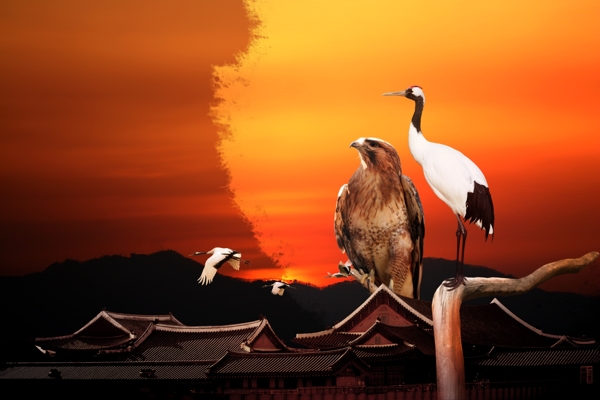 創(chuàng)意廣告