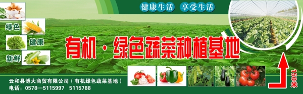 蔬菜种植基地广告图片