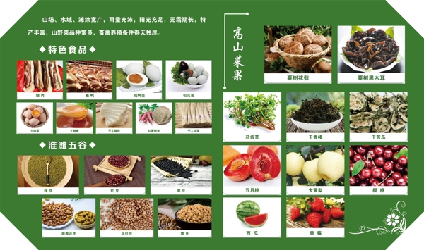 蔬菜文化墻